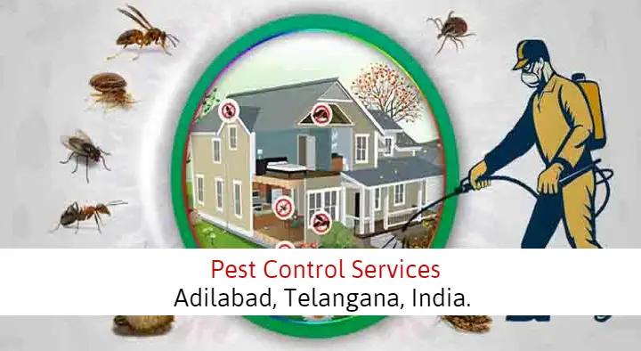 Professional Pest Control Services in Pittalwada Road, Adilabad