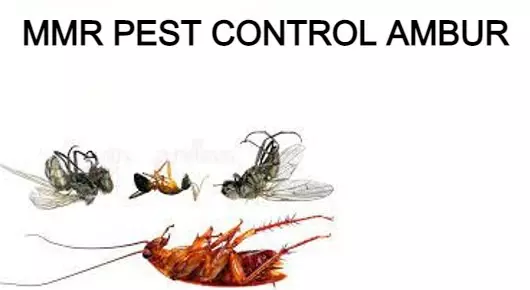 MMR Pest Control in Flower Bazar, Ambur