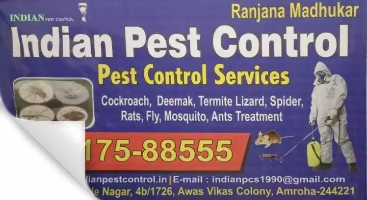 Indian Pest Control in Awas Vikas Colony, Amroha
