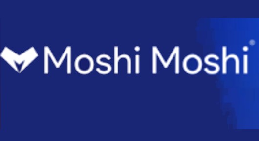 Website Designers And Developers in Bengaluru (Bangalore) : Moshi Moshi in Jayanagar