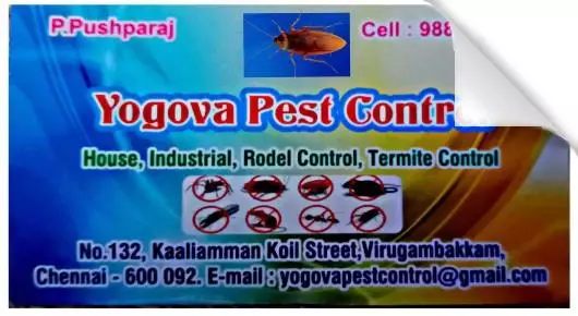 Pest Control Services in Chennai (Madras) : Yogova Pest Control in Kaallamman Koll Street