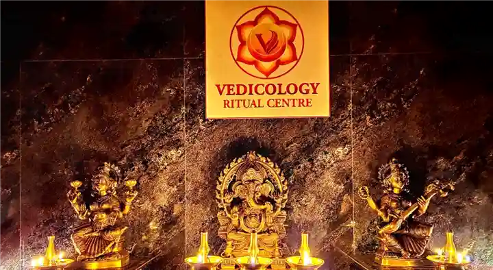 Astrologers in Chennai (Madras) : Vedicology Astrologer in Anna Nagar