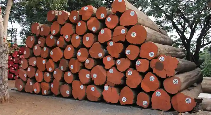 Timber Merchants in Chennai (Madras) : Sri Saraswathi Timbers in Pallavaram