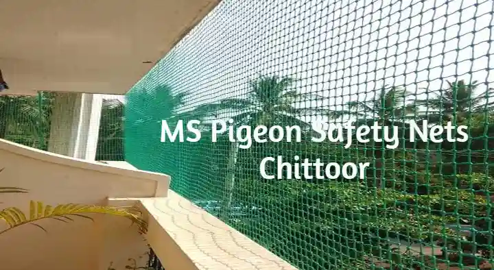 Fencing Products in Chittoor : MS Pigeon Safety Nets in Kothapeta