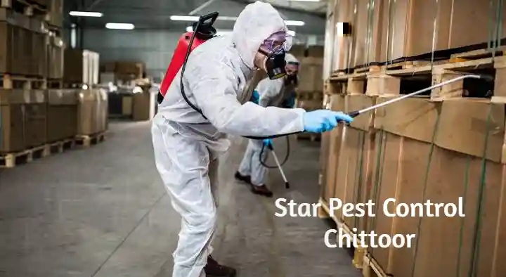 Pest Control Services in Chittoor : Star Pest Control in Venkateswara Colony