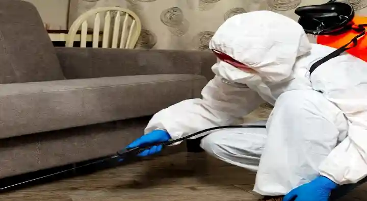 Professional Pest Control Services in Sundarapuram