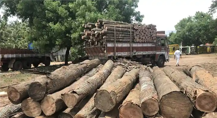 Timber Merchants in Coimbatore  : Arun Timber Traders in Kannapa Nagar