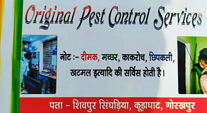 Original Pest Control Service in Siva Puram, Gorakhpur
