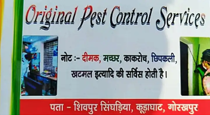 Original Pest Control Service in Siva Puram