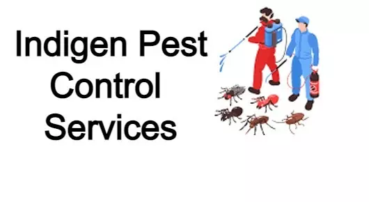 Indigen Pest Control Services in Main Road, Gudiyattam