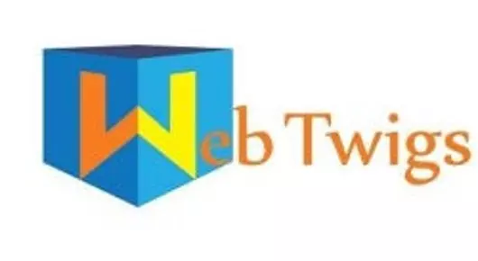 Website Designers And Developers in Guntur : Web Twigs Solutions in Arundalpet