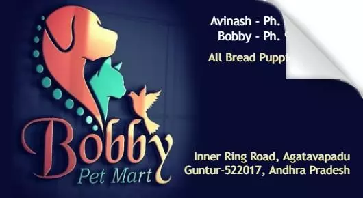 Pets And Pet Accessories in Guntur : Bobby Pet Mart in Agatavapadu