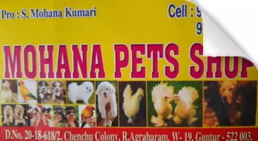 Pets And Pet Accessories in Guntur : Mohan Pets Shop in R Agraharam