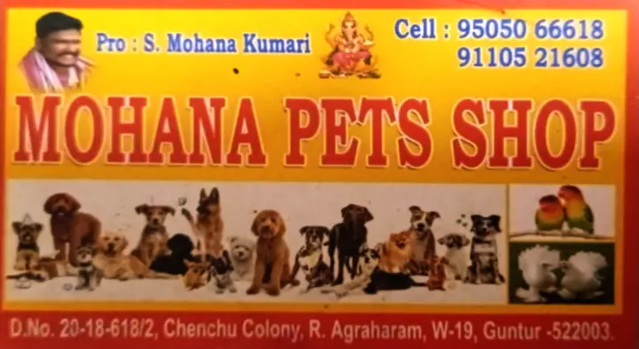 Mohana Pets Shop in R Agraharam, Guntur