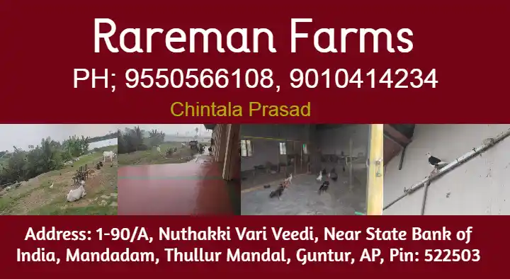 Pets And Pet Accessories in Guntur : Rareman Farms in Mandadam