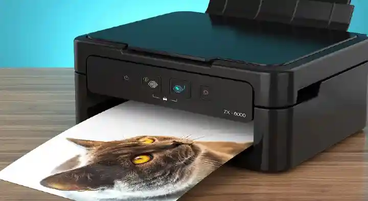 Andhra Digitals in Arundelpet, Guntur