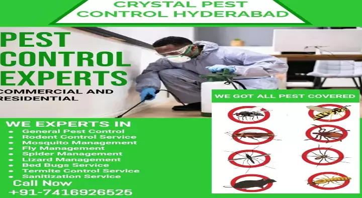 Crystal Pest Control in Attapur, Hyderabad