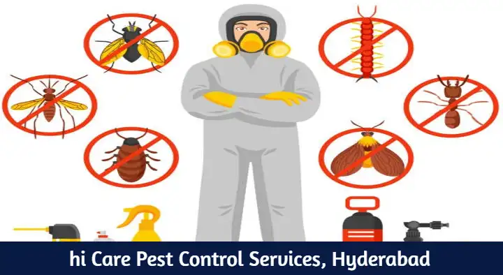 hi Care Pest Control Services in Mehdipatnam, Hyderabad