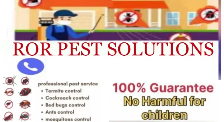 ROR Pest Solutions in Ameenpur, Hyderabad