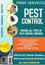 Pest Control in Ameerpet, Hyderabad