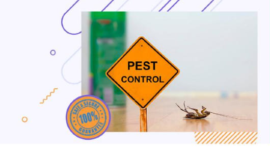 Xperts Pest Control Services in Gachibowli, Hyderabad