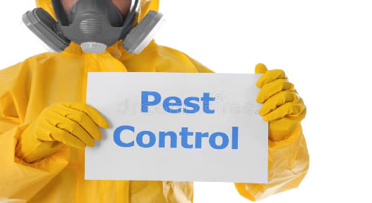 Pestocure Pest Control Services in Kondapur, Hyderabad