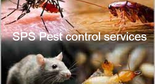 SPS Pest control services Hyderabad Get rid of Cockroaches Termites from Kitchen Home and Office in Gandipet Mandal, Hyderabad