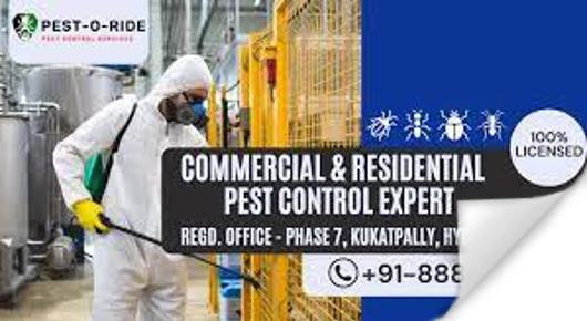 pest control service in kukatpally, Hyderabad