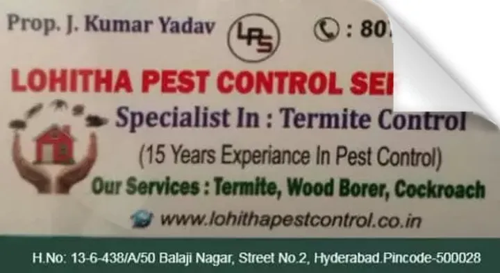Anti Termite Treatment in Hyderabad  : Lohitha Pest Control Services in Balaji Nagar