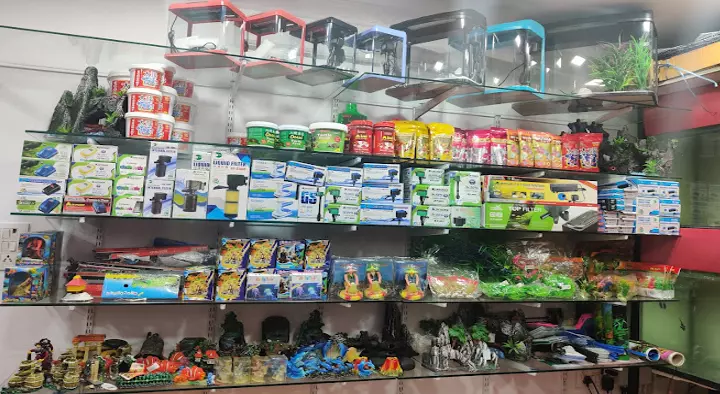 Blue Sea Aquariums and Pets in Vengal Rao Nagar, Hyderabad