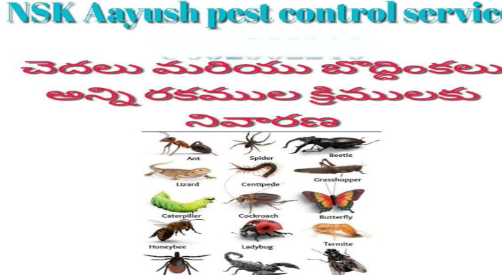 Industrial Pest Control Services in Hyderabad  : NSK Aayush Pest Control Services in Amberpet