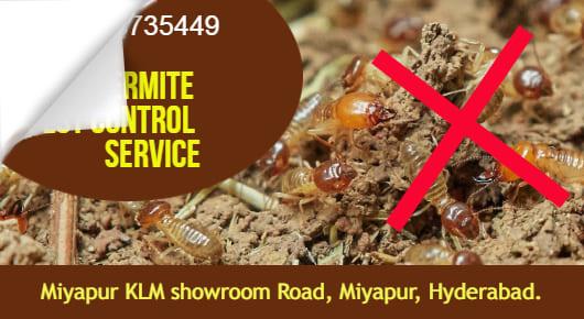 Termite Pest Control Service in Miyapur, Hyderabad