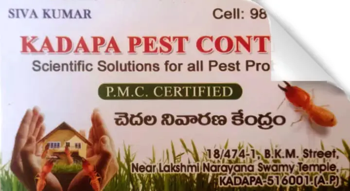 Pest Control Services in Kadapa  : Kadapa Pest Control in BKM Street
