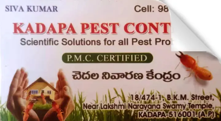 Kadapa Pest Control in BKM Street