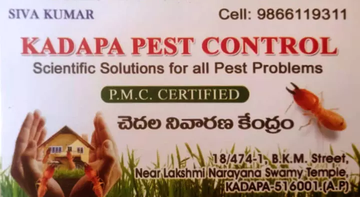 Pest Control Service For Bed Bugs in Kadapa  : Kadapa Pest Control in BKM Street