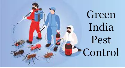 Green India Pest Control in Bhagya Nagar Colony, Kadapa
