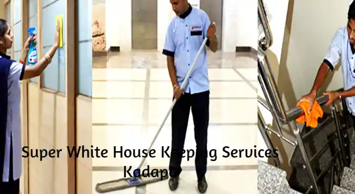 House Keeping Services in Kadapa : Super White House Keeping Services in Ganagapeta