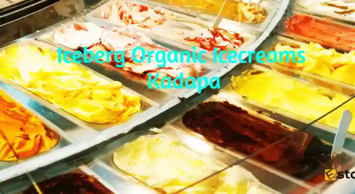 Ice Cream Shops in Kadapa  : Iceberg Organic Icecreams in Ganagapeta