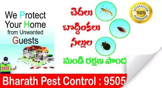 Pest Control Services in Kakinada  : Bharat Pest Control in Bhanugudi Junction