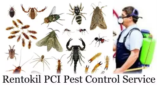 Rentokil PCI Pest Control Service in Vakalapudi, Kakinada