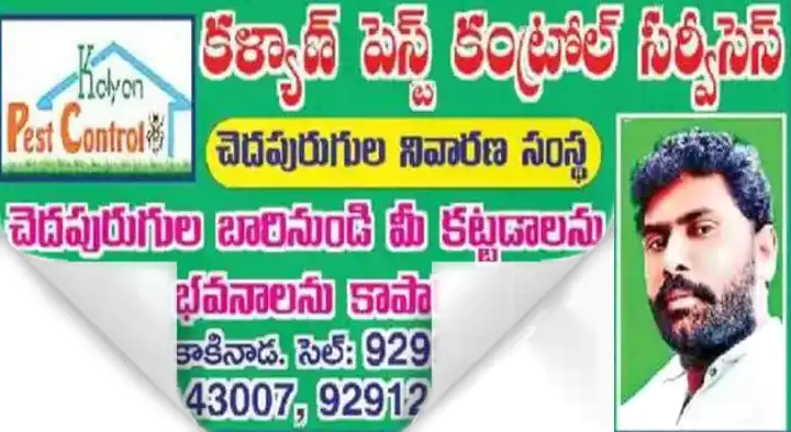 Pest Control Services For Worms in Kakinada  : Kalyan Pest Control Services in Old Post Office Road