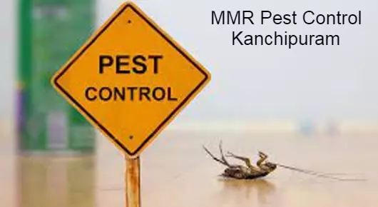 Pest Control Services in Kanchipuram : MMR Pest Control in Nellukara Street
