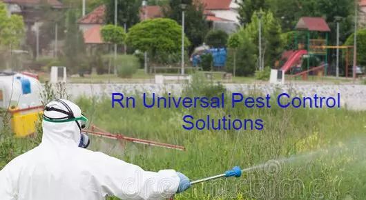 Pest Control Services in Karimnagar  : Rn Universal Pest Control Solutions in Padmanagar