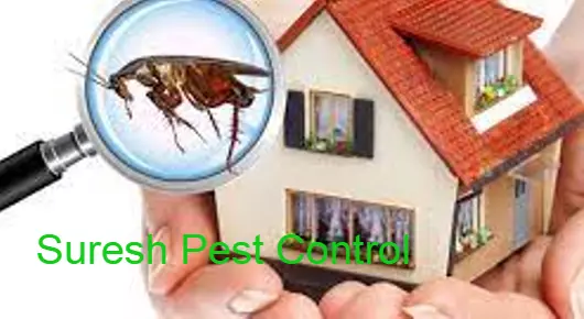 Suresh Pest Control in Mankamma Thota, Karimnagar