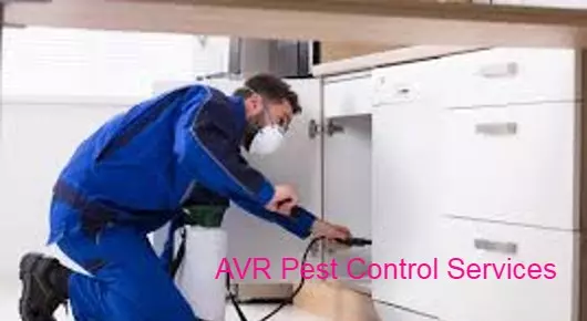 AVR Pest Control Services in Vidyanagar, Karimnagar