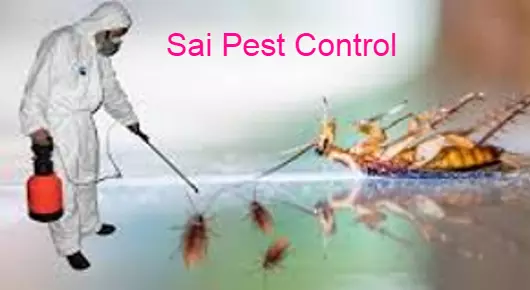 Sai Pest Control in Kashmirgadda, Karimnagar
