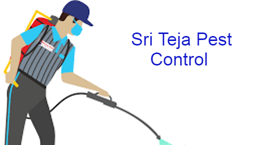 Sri Teja Pest Control in Mukarampura, Karimnagar