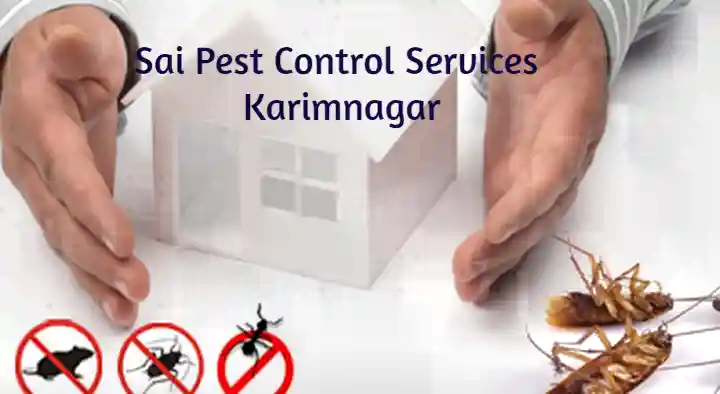 Sai Pest Control Services in Hanuman Nagar, Karimnagar
