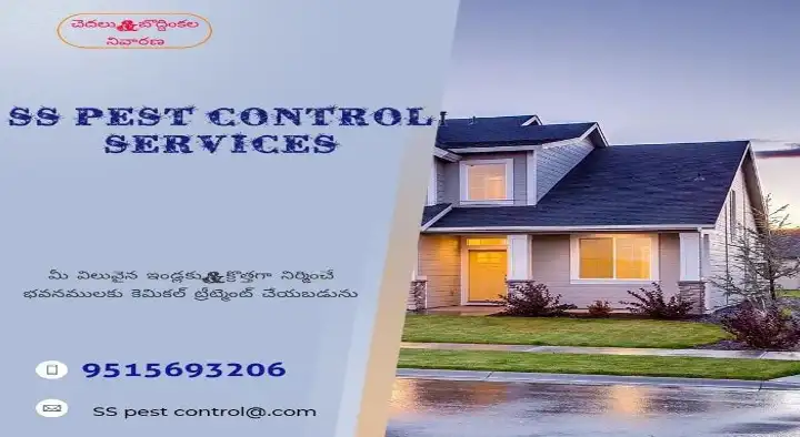 Pest Control Service For Bed Bugs in Karimnagar  : SS Pest Control Services in Ram Nagar