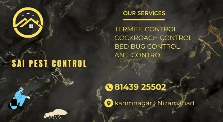 Sai Pest Control Services in Hanuman Nagar, Karimnagar